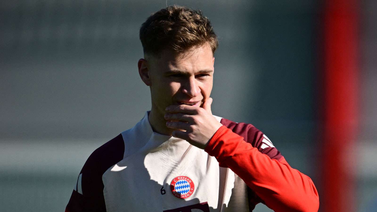 雷迪克預計 雷迪克預計