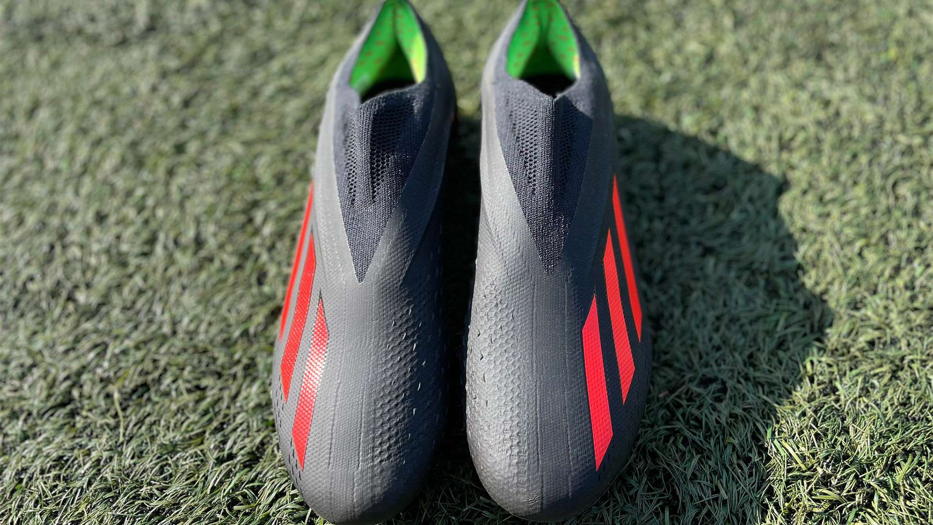 荷甲的整体 荷甲的整体